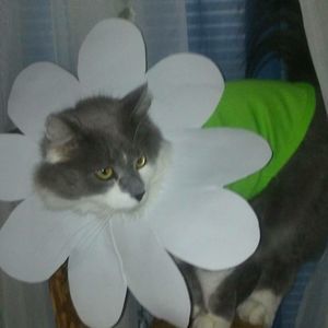 Meet your Posher, Rita